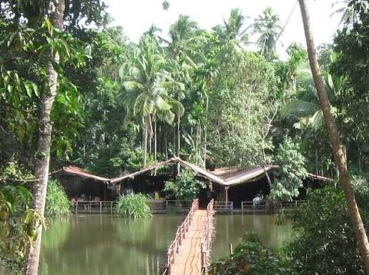 Spice plantation tour Goa